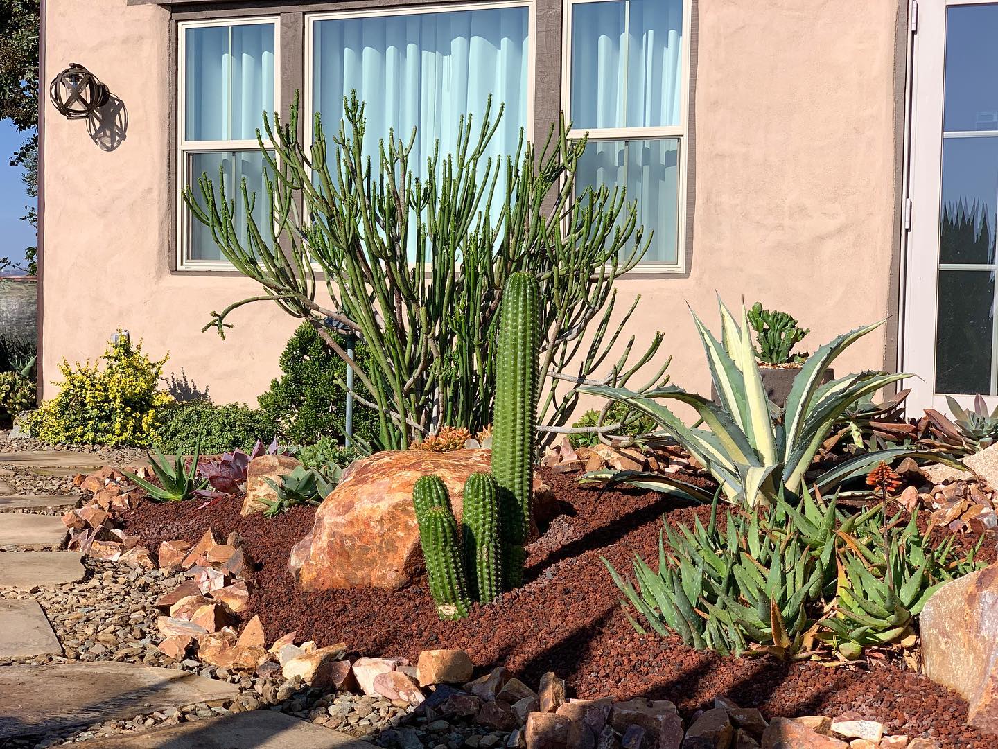 Succulents: The Ultimate Border Beautifiers - Crafting Edges with Nature's Charm