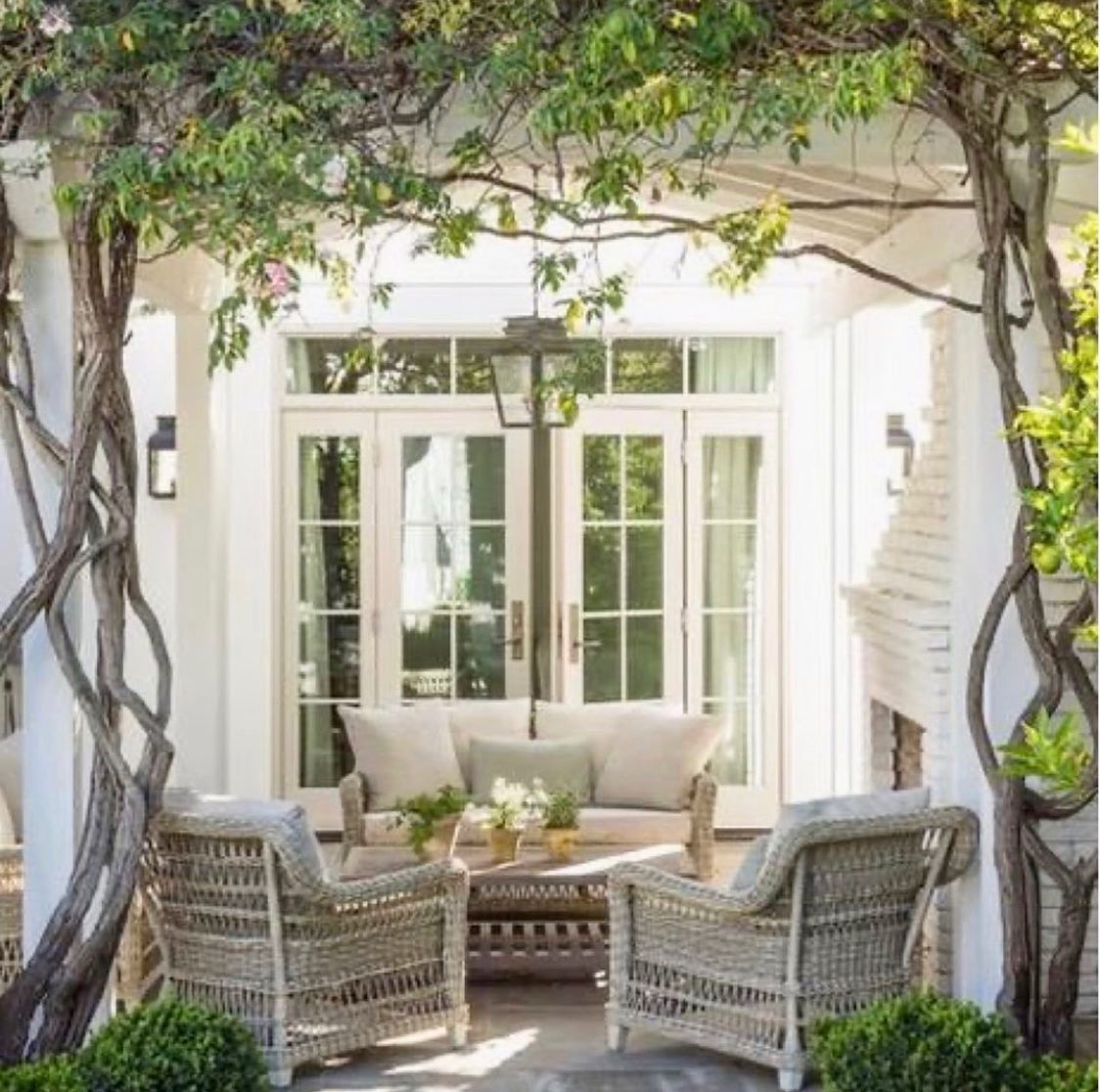 Channeling Your Inner Monet - A Tasteful Splash of French Romance in Your Garden