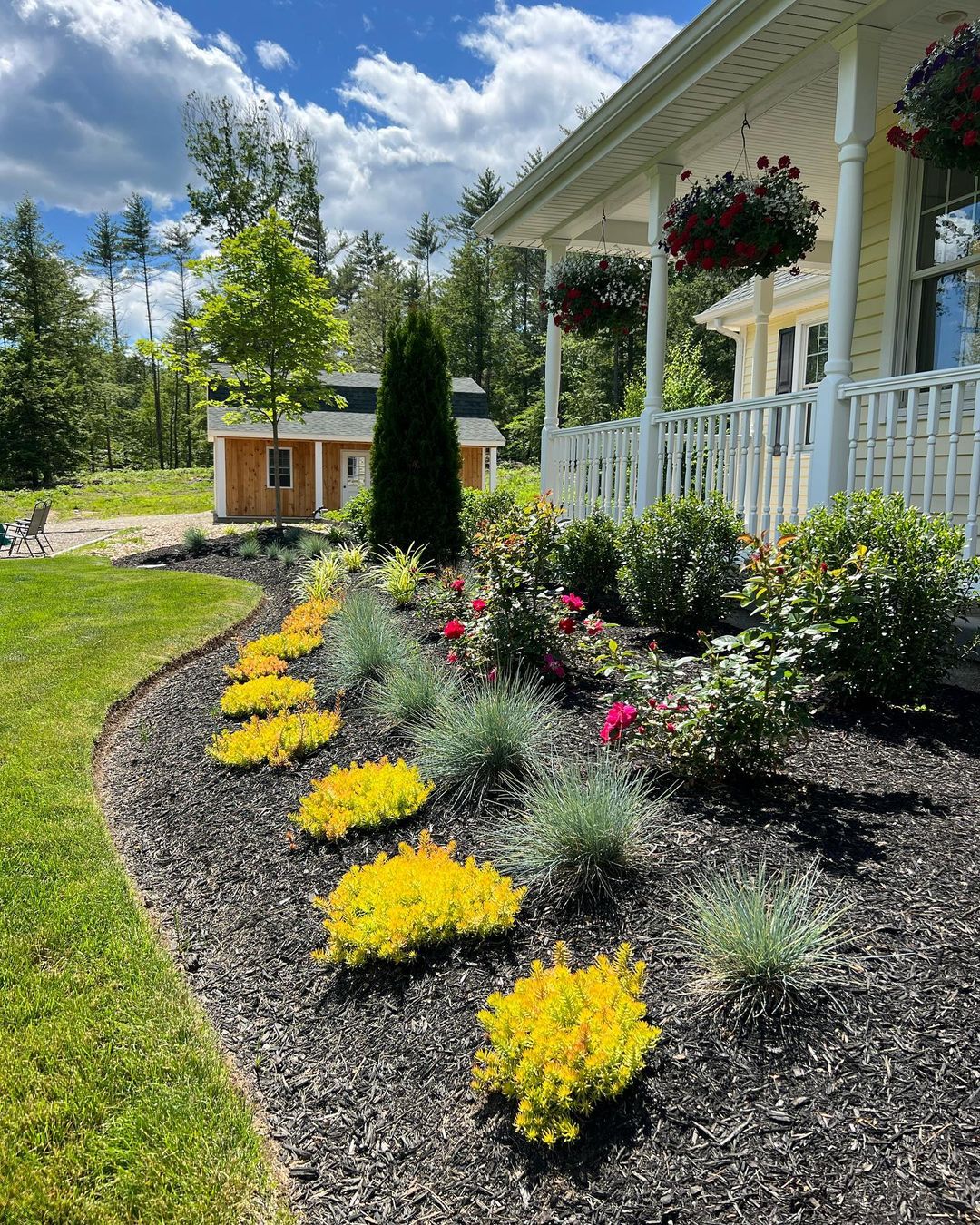 Front Yard Blossom Dreams - Crafting a Simple Floral Retreat