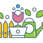 Blossoms Beyond the Basics - Fresh Floral Inspirations for Your Garden