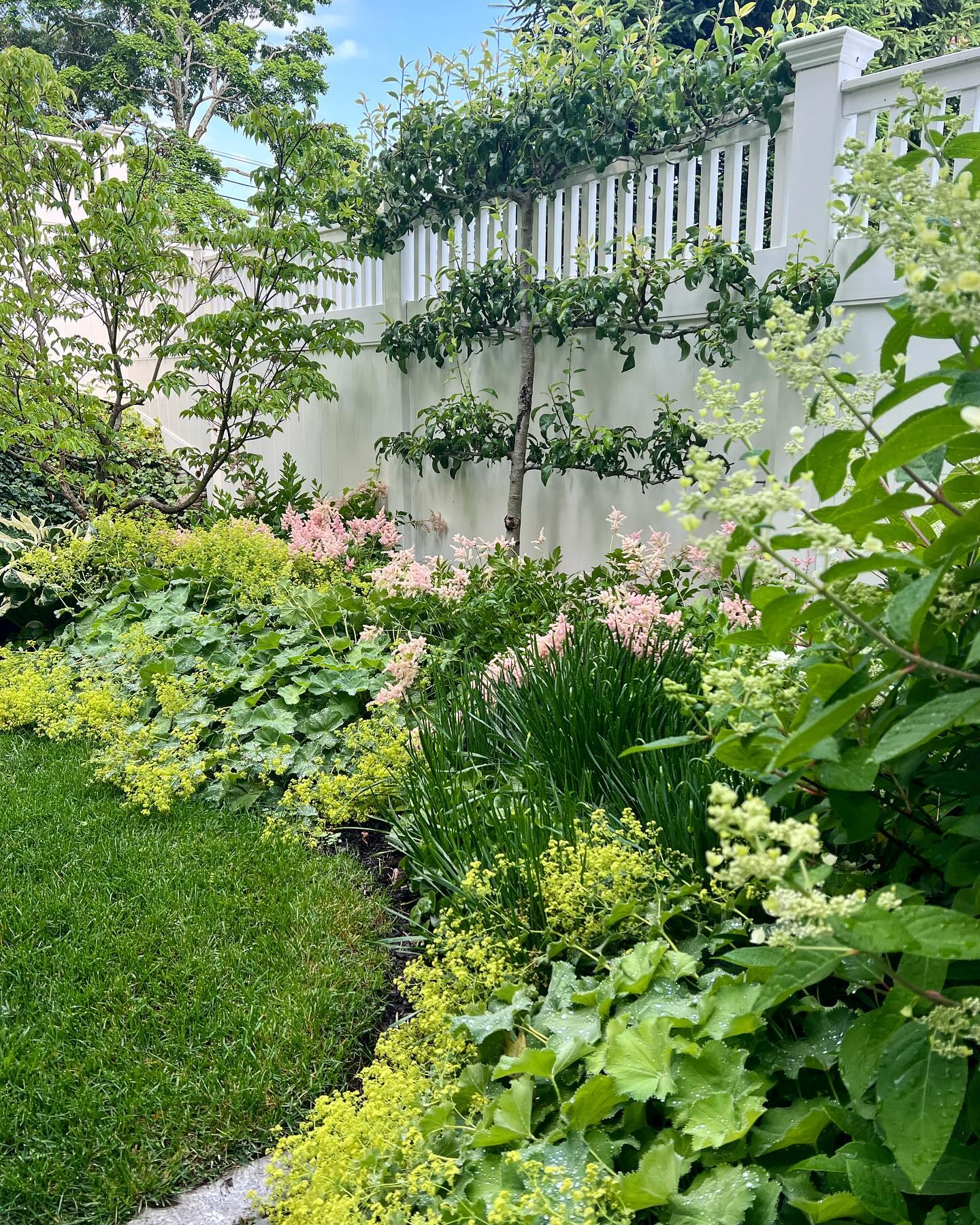 Blooming Boundaries - Creating a Colorful Flower Fence