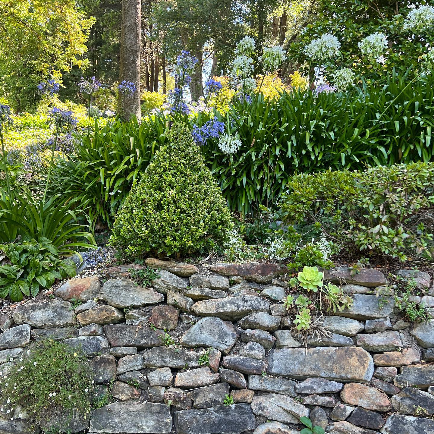 Japanese Hillside Garden Design - Harmonizing Nature's Elevation