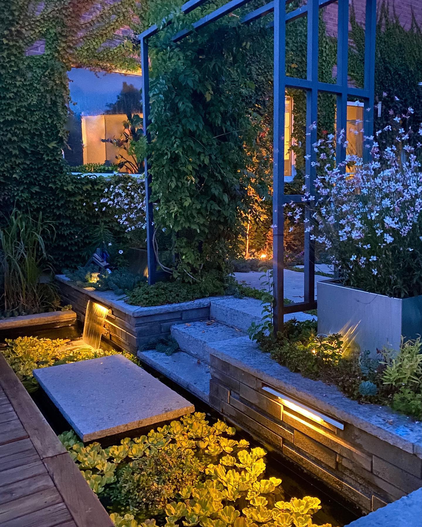 Bring Serenity Indoors with a Pond Garden - Crafting a Tranquil Oasis Inside