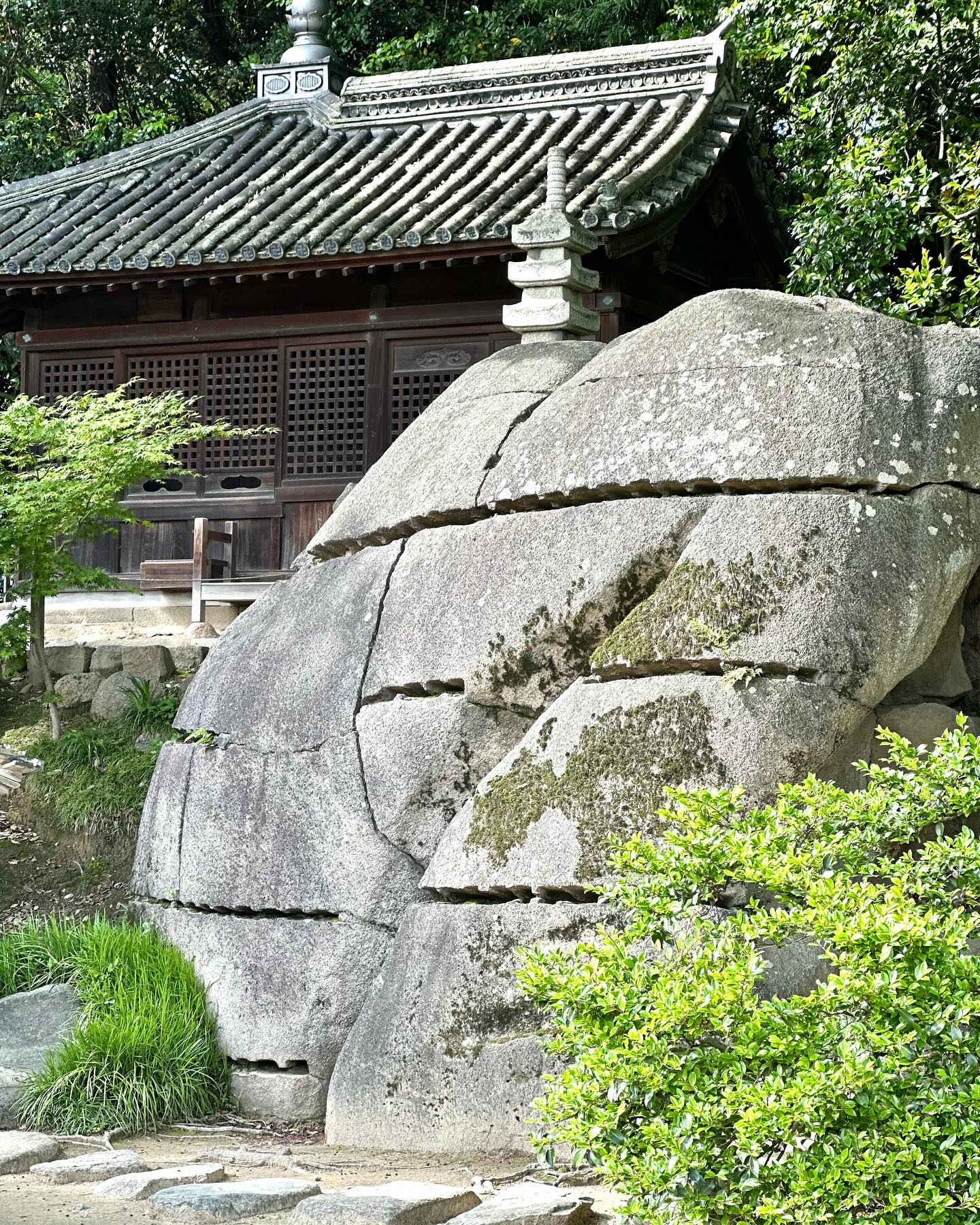 Crafting Serenity: Embrace the Zen of Japanese Garden Design - Create Your Peaceful Paradise at Home