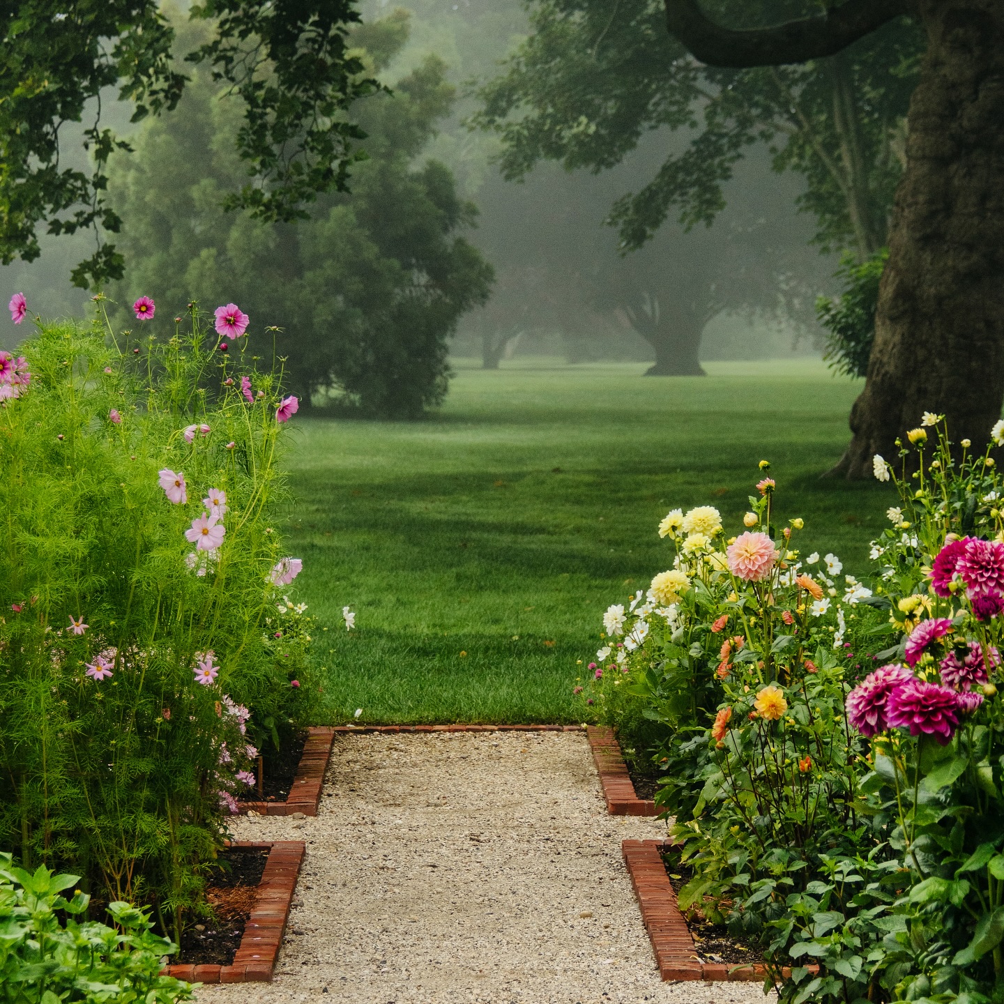 Unearthing the Roots of Garden Design - Tracing the Lines of Nature's Canvas