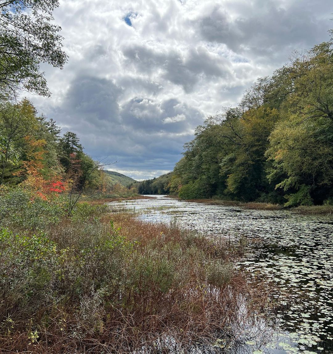 Creating Visual Harmony in Your Outdoor Space - Cultivating a Personal Garden Oasis