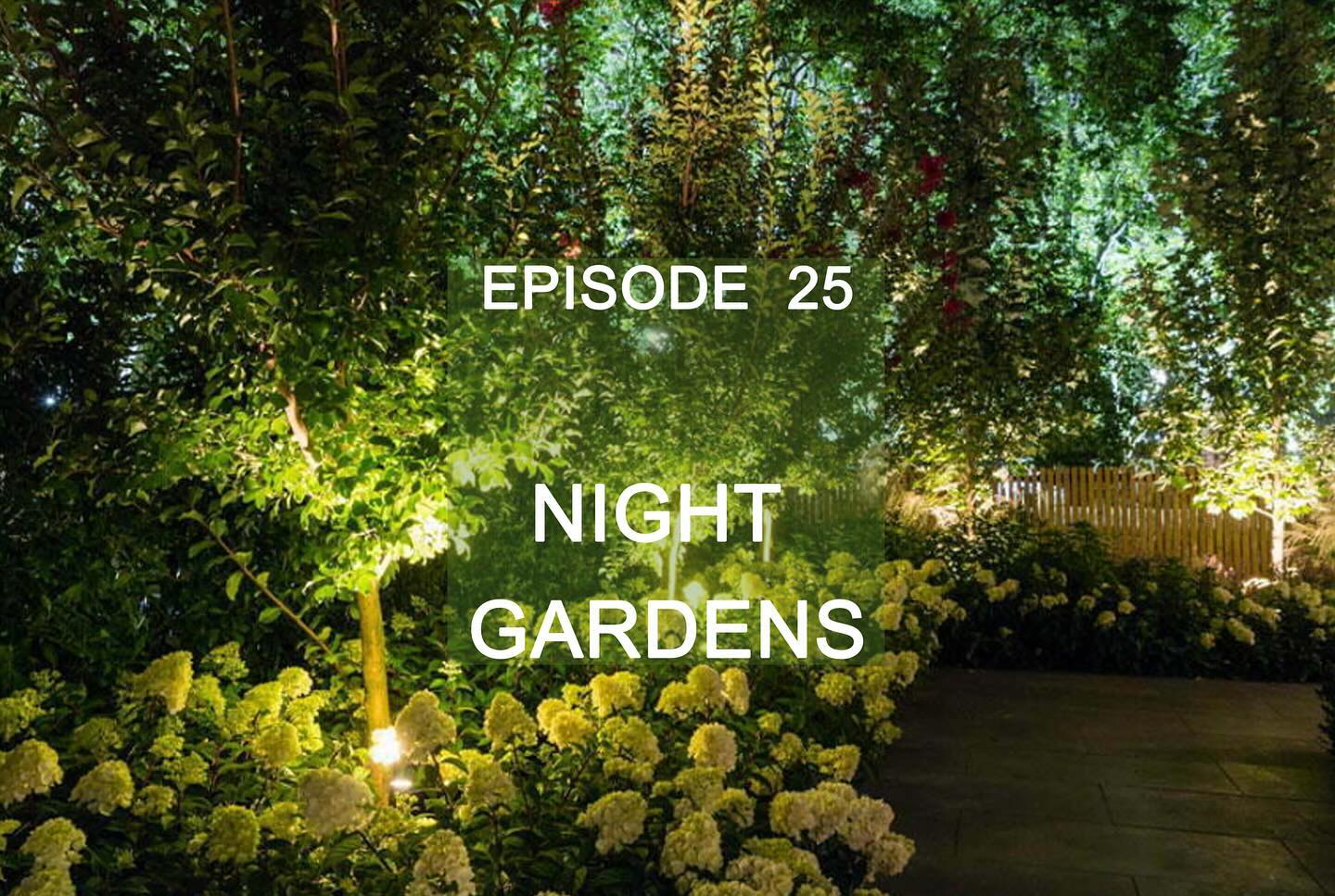 Magical Evening Gardens - Illuminate Your Outdoor Space
